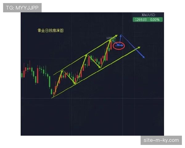 范德芬分析高位逼抢风险 一对一防守存在漏洞